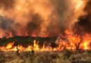 Equipos de emergencia trabajan intensamente para sofocar incendios