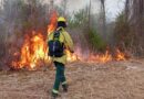 Intensificaron los trabajos de lucha contra los incendios en Cafayate