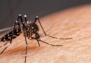 Lucha contra el Dengue: el martes 20 habrá un nuevo descacharrado en zona norte