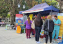 Futuros egresados podrán mostrar sus productos en una feria en Plaza España