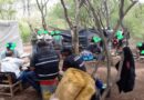 <b>Trata laboral: con una reparación económica récord, resuelven un grave caso Tartagal.</b> <br /><br />El imputado y condenado Jesús Isauro Erazo, deberá cumplir con tareas comunitarias durante seis meses.