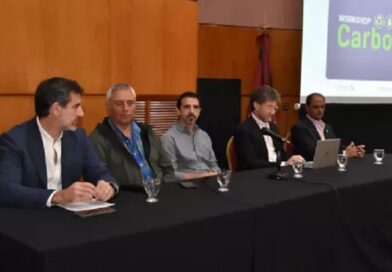 Cerca de 150 referentes participaron del Workshop Provincial de Carbono