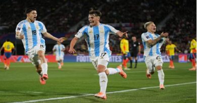 «Vamos, vamos los pibes»: Argentina le ganó a Colombia y jugará la final del Mundial Sub 20