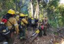 Brigadistas salteños prosiguen con los operativos de sofocación de incendios forestales en Chubut