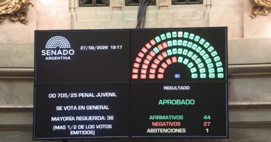 El Senado aprobó el Régimen Penal Juvenil y la edad de imputabilidad bajará a 14 años