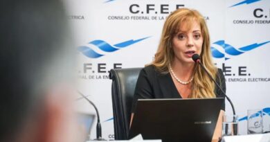 Denunciaron penalmente a Flavia Royón por su rol en la Ley de Glaciares y presuntos vínculos con el sector minero