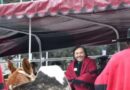 Sáenz en los homenajes a Güemes: “Debemos tomar su ejemplo y defender los intereses de la Patria y de los salteños»