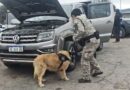 DESARTICULAN UNA BANDA NARCO QUE TRASLADA COCAÍNA DESDE SALTA A BUENOS AIRES: 7 DETENIDOS Y CASI 200 KILOS DE DROGA SECUESTRADOS