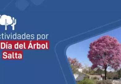 Día del Árbol: Salta impulsa la conservación del patrimonio natural y promueve la conciencia ambiental