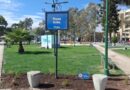 Las plazas de la ciudad volverán a tener placeros